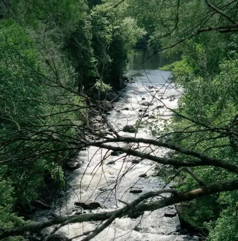A river in nature