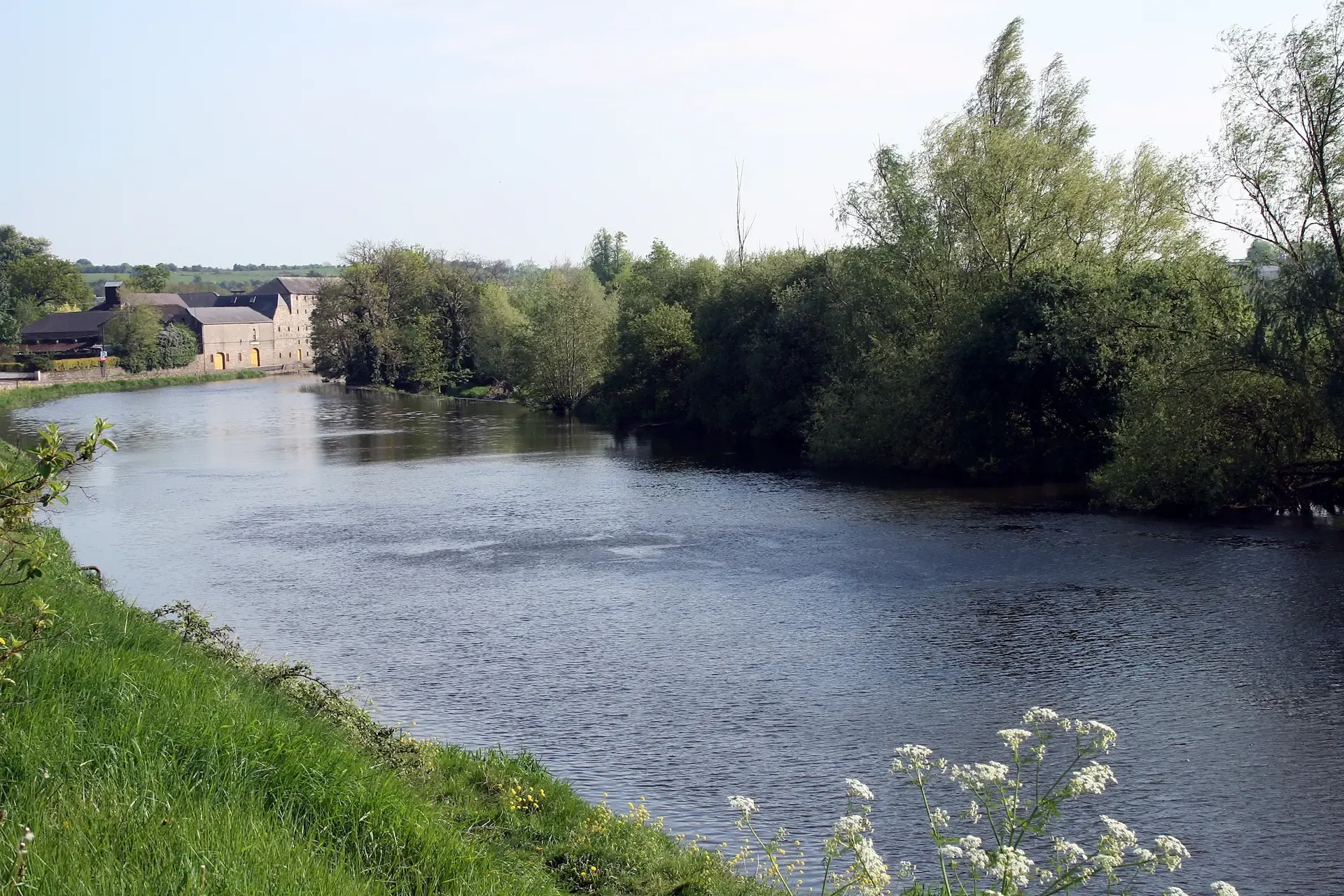 Carlow River