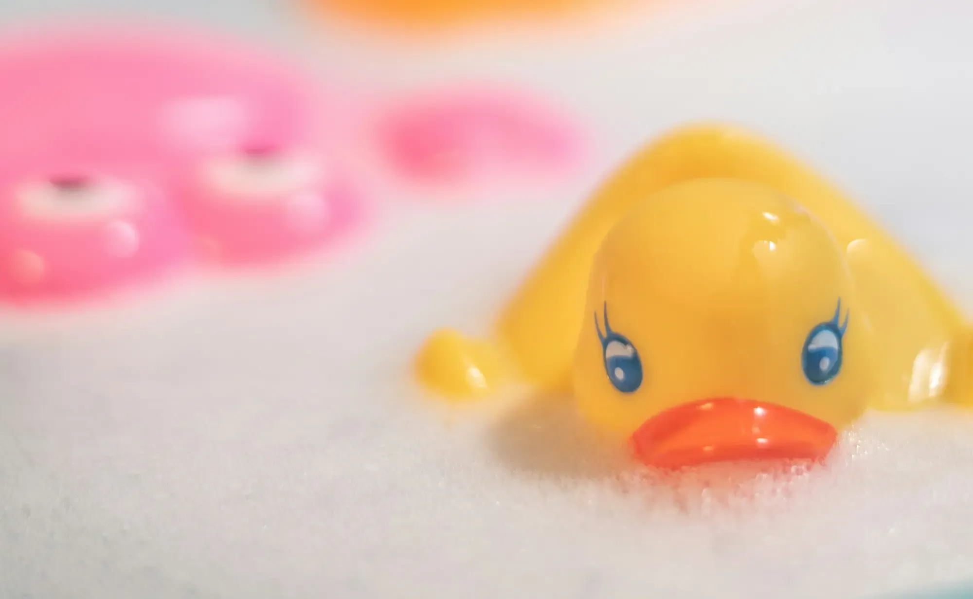 Rubber duck in the bath