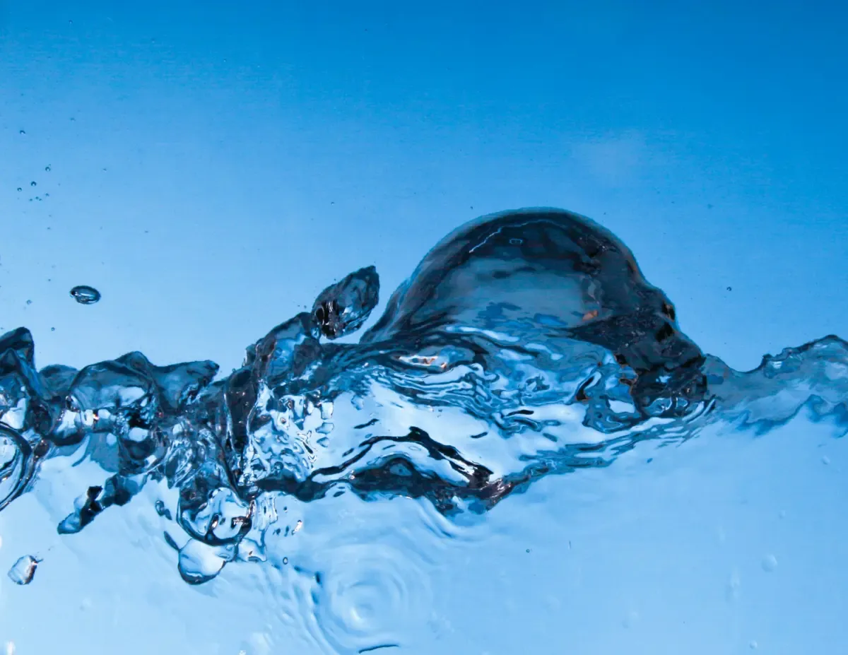 A ripple of bubbles through water