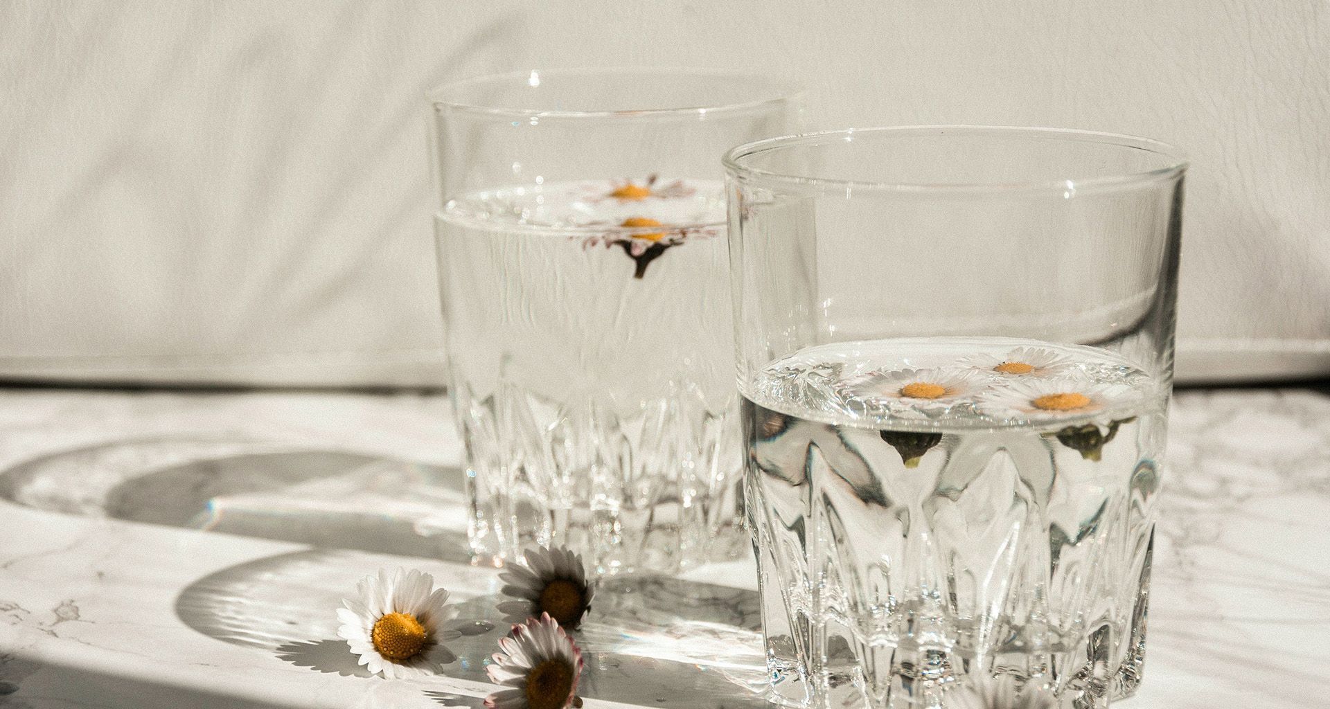 A glass of water with flower heads floating